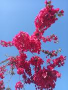 Casa Veranera para Disfrutar en Cualquier Ocasión