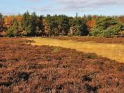 4 star holiday home in Bogense-By Traum 4 star holiday home in Bogense-By Traum