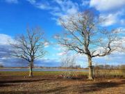 5 person holiday home in Bogense-By Traum