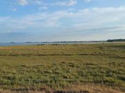 Top Bogense Top Bogense