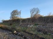 4 person holiday home in Bogense-By Traum 4 person holiday home in Bogense-By Traum