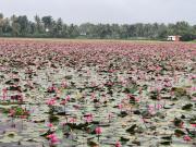 Top Kumarakom
