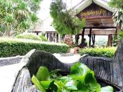 Top Ban Nong Pru