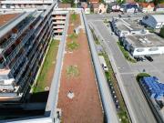Luxusapartment mit 40 qm Terrasse, E-Parkplatz und Parkplatz