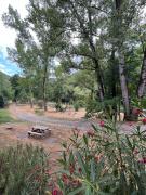 Top Florentin-la-Capelle