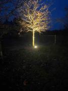 Tour du Bignon 30 beds 2 cottages 15