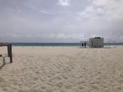 Top Simius Top Simius