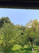 vololiberoapartments