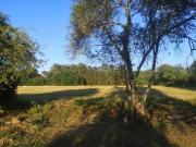 Top Nogent-sur-Vernisson