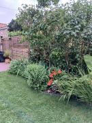 Top Saint-Aubin-des-Ormeaux