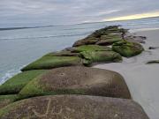 Fijnbos Accommodation