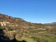 Top Bisbal de Falset