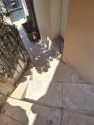 Top Toulon
