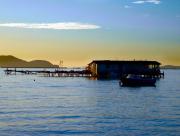 Bas de villa calme proche plages