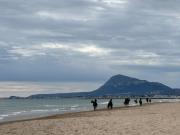 MET Oliva Nova Playa chalet grande con jardín MET a 5 minutos y a 3 de la playa