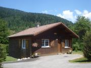 Chalet Confortable à La Bresse, Proche Ski, Wifi, Animaux Acceptés - FR-1-589-130