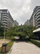 Tambuli Ocean Breeze