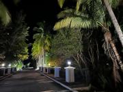 Top Puerto San José