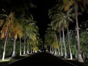 Top Puerto San José