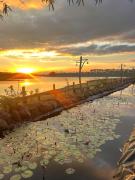 Biển Hồ Garden Glamping