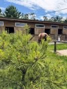 Top Bobritsa Top Bobritsa