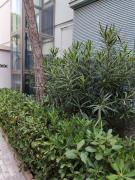 Top Lido degli Estensi