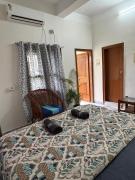 The Backyard Inn The Backyard Inn