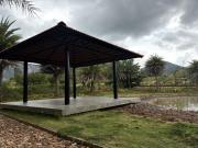 Green Cave Cozy Studio Room