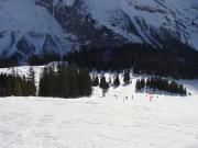 Top Kandergrund