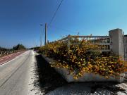 La casa del vento Stagnone