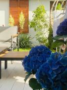 Top Stary Sącz Top Stary Sącz