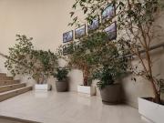 Top Malpartida de Cáceres