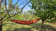 Top Beška