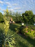 Top Barkocin Top Barkocin