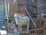 Top Reckingen - Gluringen