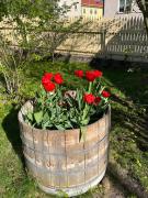 Top Östhammar Top Östhammar