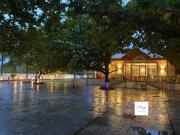 Almond Grove by MagoStays - 5BR Pool Farmhouse