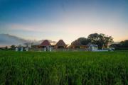 Top Ubud