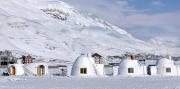 Top Kaza