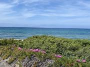 Top Marina di Sorso