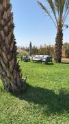 Top Berkane