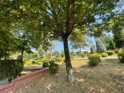 Top Tirana