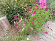 Chambre dhôte au calme dans la campagne des Weppes