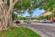 Top Siesta Key