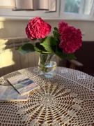 Gospodarstwo Agroturystyczne u Wojciecha