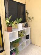 Top Balzan