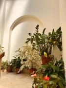 Top Borzonasca Top Borzonasca