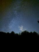 Top Płóczki Górne