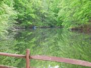 Top Mocksville