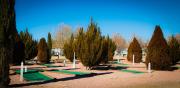 Top Cottonwood